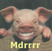 2707-mdr-cochon.gif