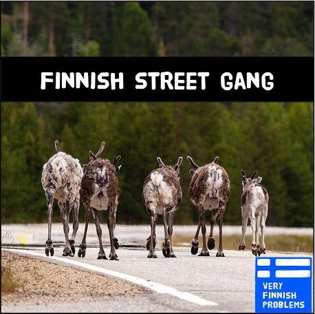 FinnishStreetGang.jpg