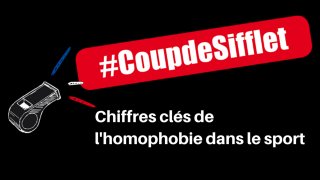 chiffres_cles_de_l_homophobie_dans_le-afa71.jpg