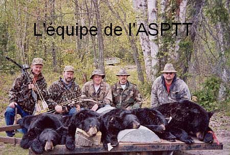 chasse_ours_noir.jpg