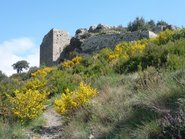 Les ruines de Neyran (photo reco)