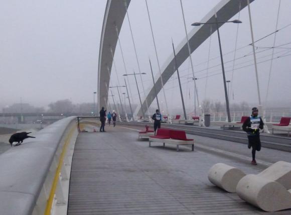 07 pendant que certains baillent au corneille sur ce pont patinoire.JPG