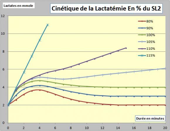 Lactates Cinetique.jpg