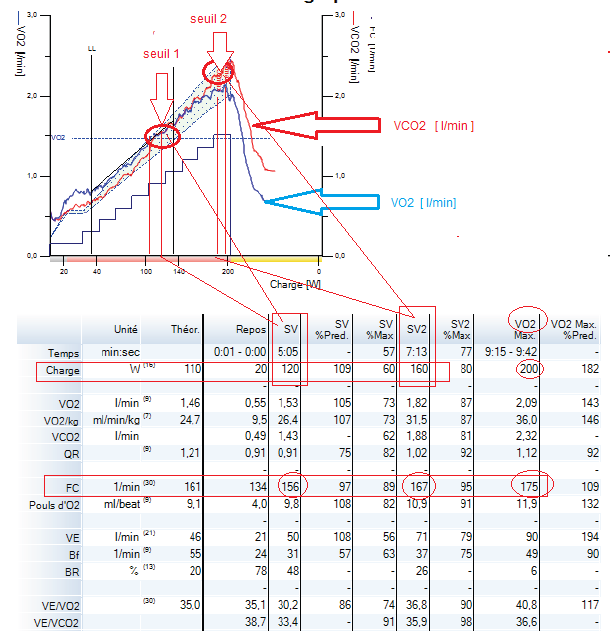courbe de cinétique de VO2.png